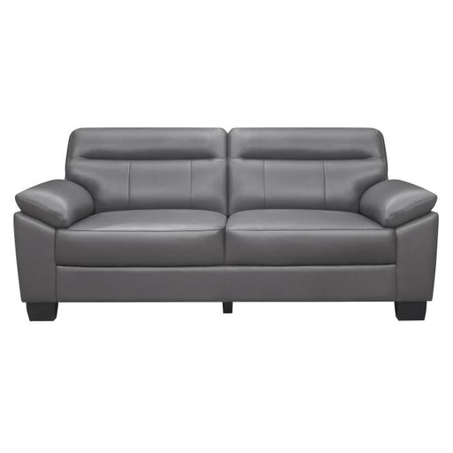 Denizen Sofa in Dark Gray 9537DGY-3 image